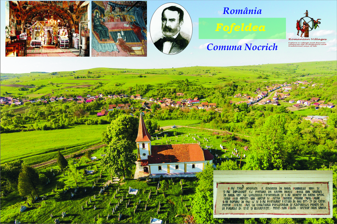 2 vedere rev Fofeldea fata