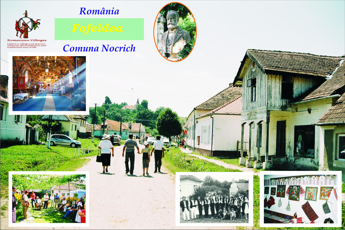 4 vedere rev Fofeldea fata